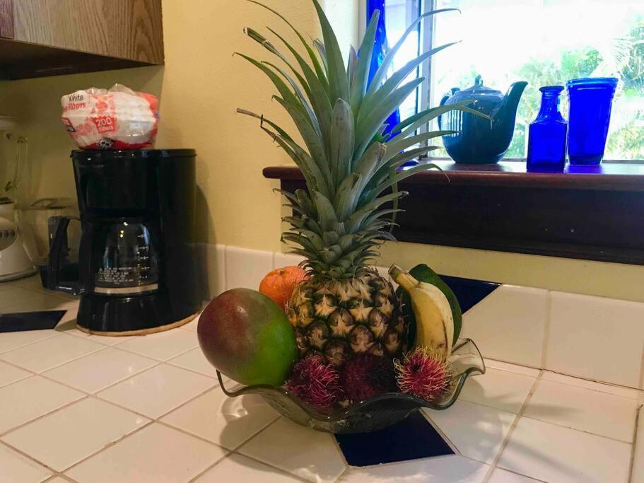 Hawaii Tropical Volcano Mansion + Sauna ヒロ エクステリア 写真