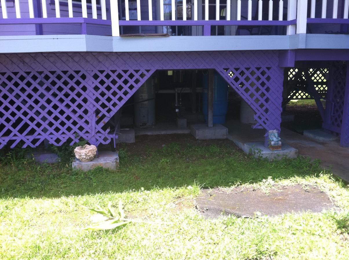 Hawaii Tropical Volcano Mansion + Sauna ヒロ エクステリア 写真