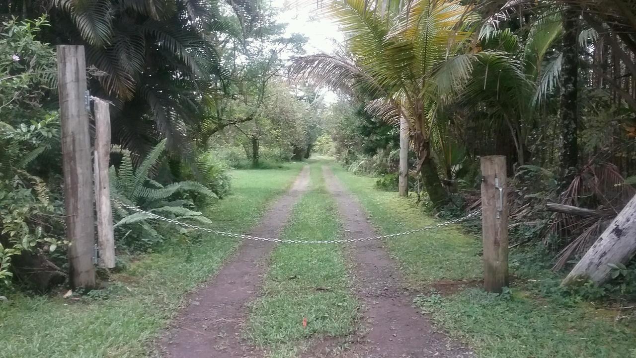 Hawaii Tropical Volcano Mansion + Sauna ヒロ エクステリア 写真